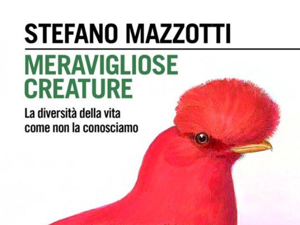 Meravigliose Creature