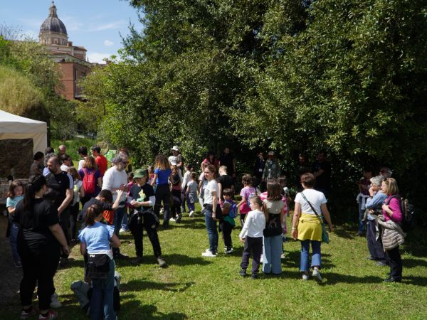 BioBlitz Siena 2024