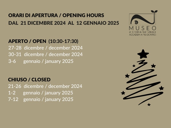 Orari di apertura Museo – Festività natalizie 2024