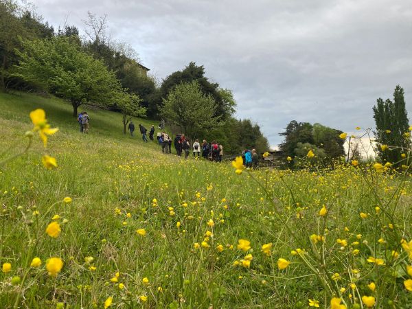 Torna il BioBlitz Siena