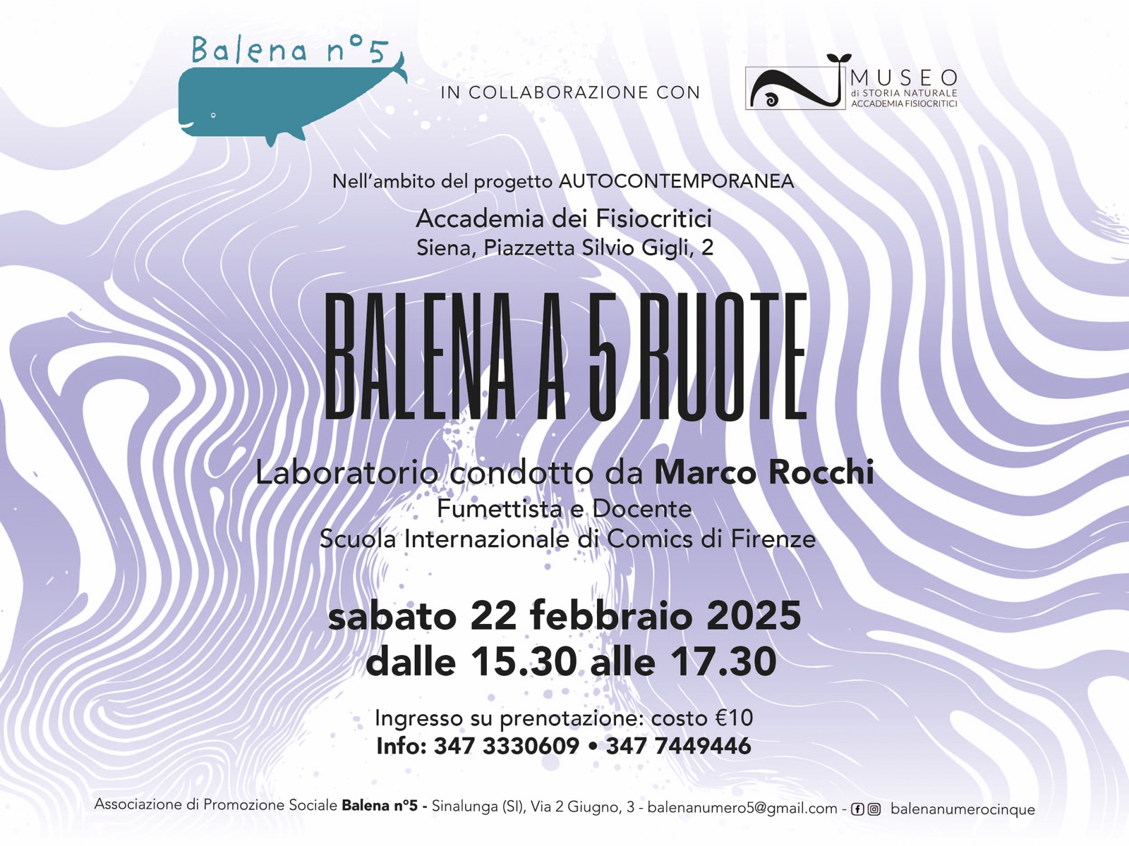 BALENA A 5 RUOTE